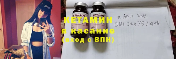 сатива Инта