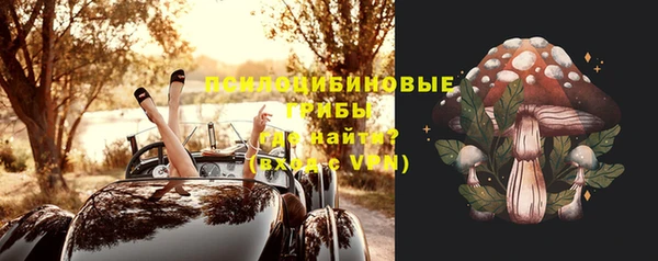 дурь Осинники