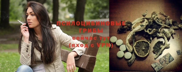 не бодяженный Няндома