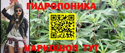 2c-b Аргун