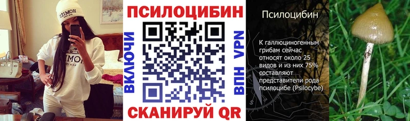 Псилоцибиновые грибы Cubensis  Краснознаменск 