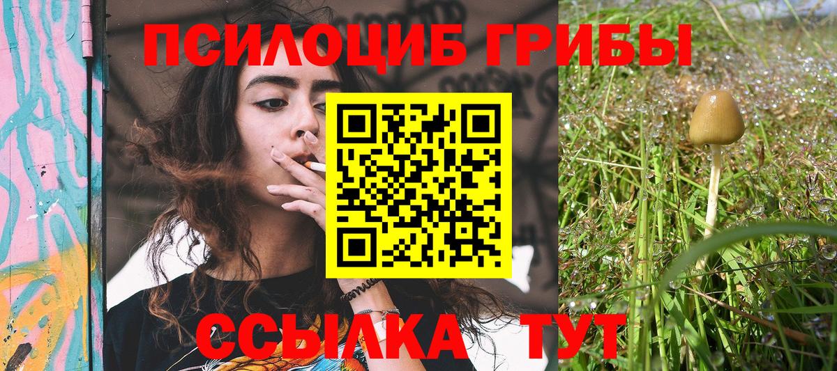 Псилоцибиновые грибы GOLDEN TEACHER Краснознаменск