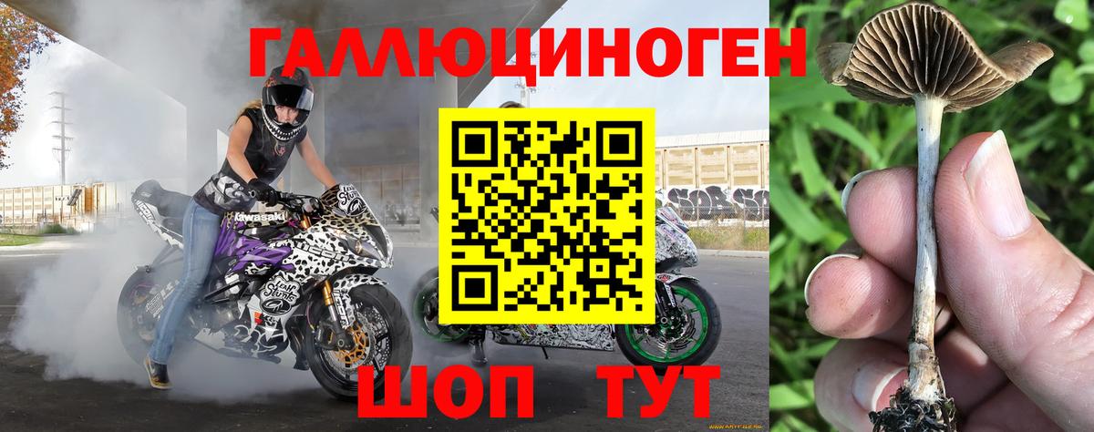 Галлюциногенные грибы Magic Shrooms  Краснознаменск 