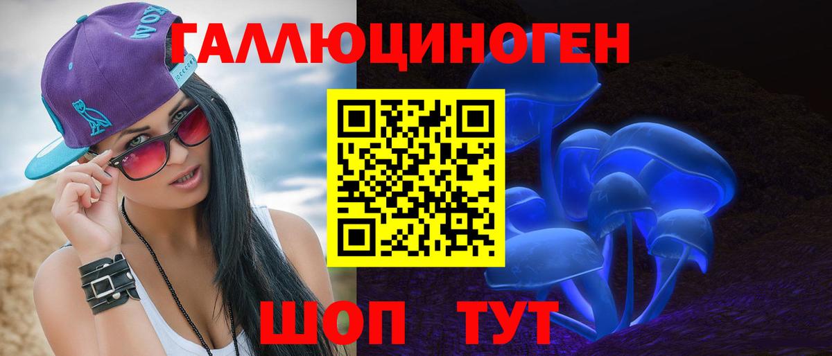 где купить наркоту  Псилоцибиновые грибы Psilocybe  Вход с VPN  Краснознаменск 